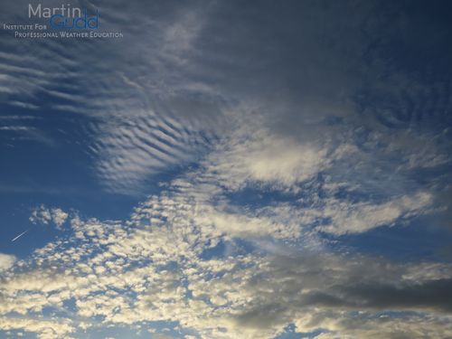 Altocumulus stratiformis duplicatus undulatus